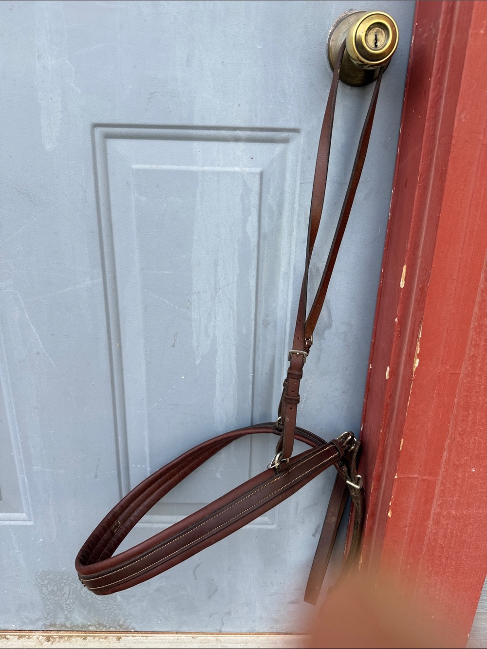English breast collar brown leather